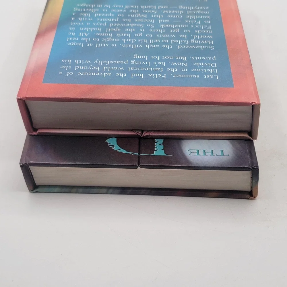 Elizabeth Kay The Divide & Back to the Divide Hardcover 1st Edition Set Excelle